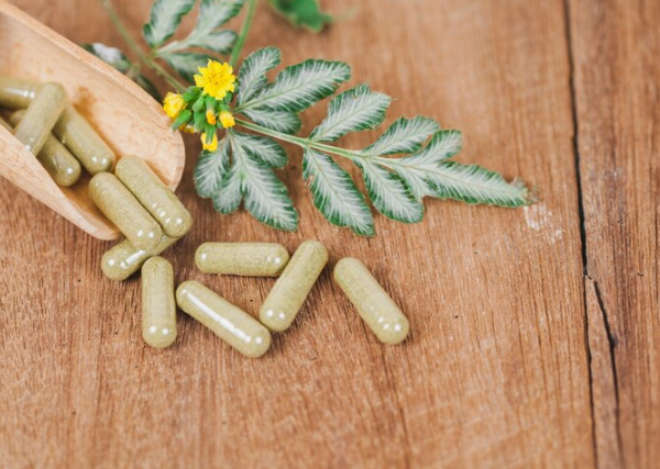 Tribulus terrestris é seguro para uso contínuo?
