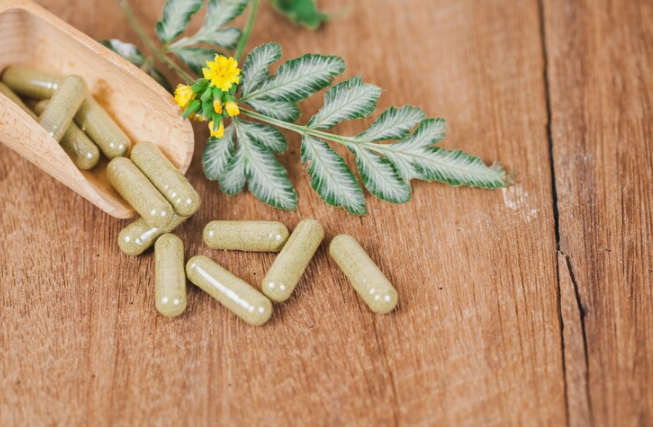 Tribulus terrestris é seguro para uso contínuo?
